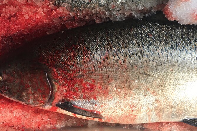 Private Alaska Salmon Fishing—Up to 6 Guests, Priced by Group - Key takeaways before you book