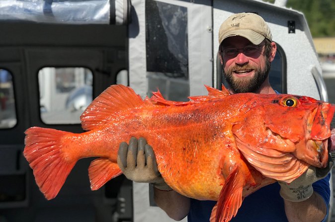 Private Alaska Salmon Fishing—Up to 6 Guests, Priced by Group - What a 5-Hour Charter Looks Like, From Ship to Salmon (and Back Again)