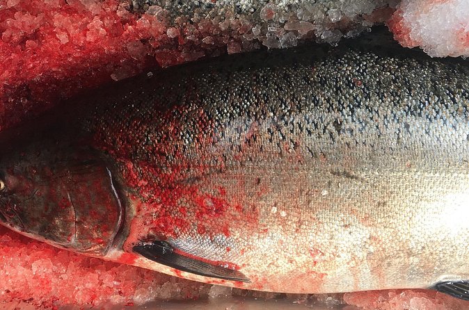 Private Alaska Salmon Fishing—Up to 6 Guests, Priced by Group - Practical Tips That Help Your Day Go Smoother