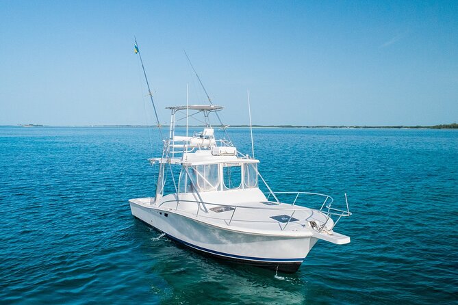 Private Bahamas Half-Day Fishing Tour from New Providence - Fishing targets in the Bahamas: what you can aim for and how captains help