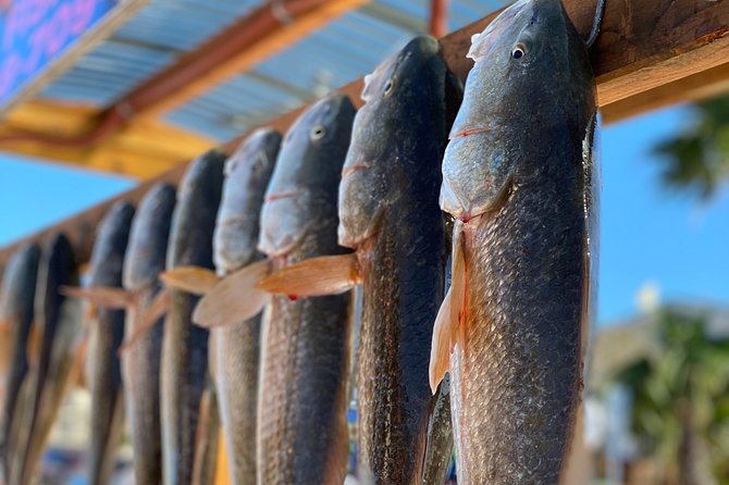 Private Bay Fishing South Padre Island - Key Highlights to Know Before You Go