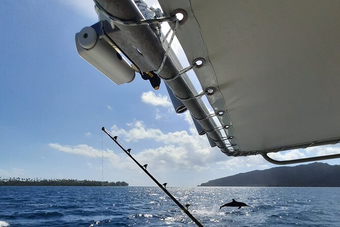 Private Big Game Fishing Tour in Raiatea - Key things I’d count on before you book