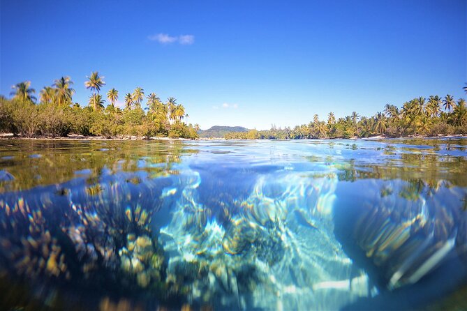 Private Big Game Fishing Tour in Raiatea - Lagoon snorkeling: optional, and best as a breather