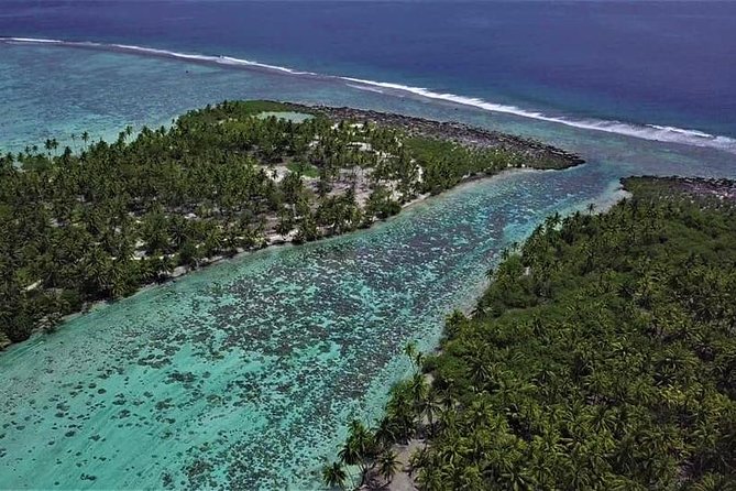 Private Big Game Fishing Tour in Raiatea - Price and value: paying for private coaching, not just a ticket