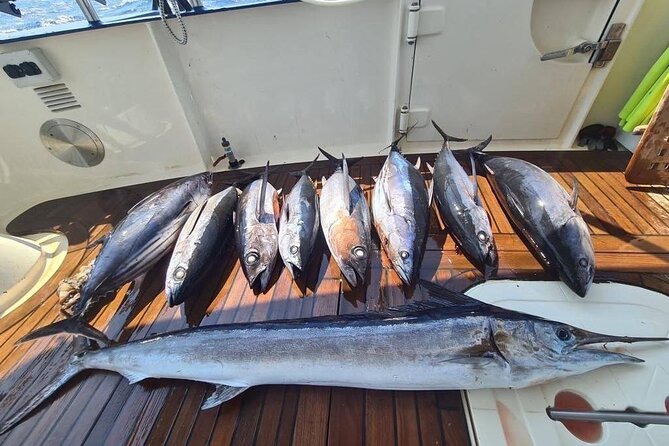 Private Boat and Fishing Tours in Greek Islands - Price and value: what $3,470.45 buys your group
