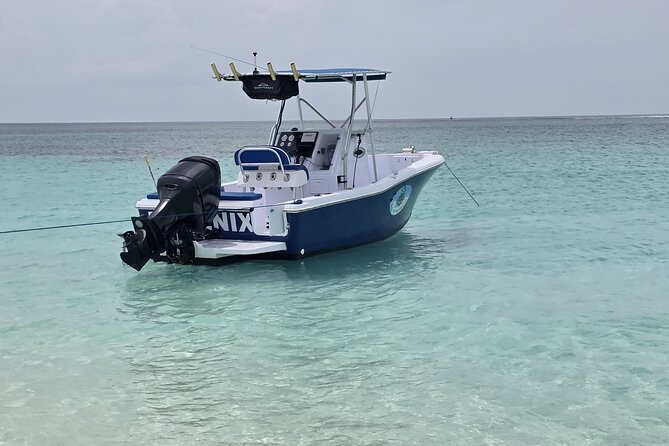 Private Boat Tours & Fishing Charters in Nassau, Bahamas - Practical tips: how to get the most from the pigs, reef, and island moments