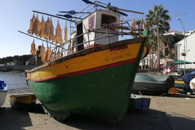 Private Câmara de Lobos Fishing Village Tour - Price and value: what $94.63 per group really gets you