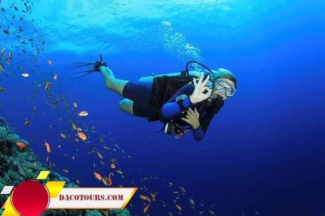 Private Cham Island Snorkeling Tour, Nice Beach, Fishing villages - Price and what you actually get for $119
