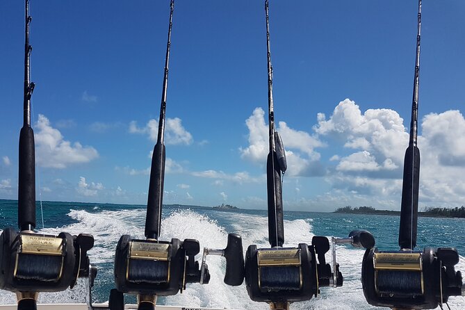 Private Charter for snorkeling, swimming pigs, turtles & fishing.... - Should You Book This Secret Cays Private Charter?