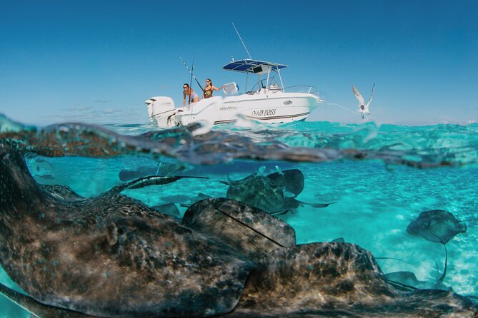Private Charter Reef fishing, Stingray City, Snorkel, Mangroves - Key highlights worth knowing
