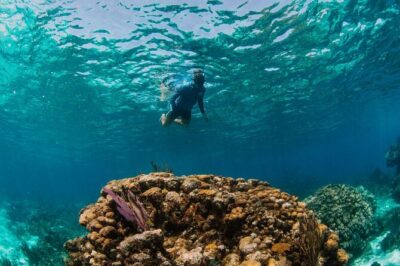 Private Charter Reef fishing, Stingray City, Snorkel, Mangroves - Stingray City Sandbar (45 minutes): How to Make It Smooth