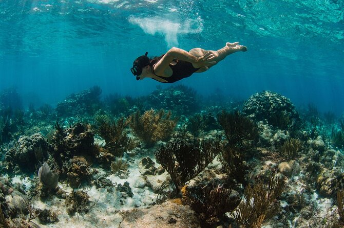 Private Charter Reef fishing, Stingray City, Snorkel, Mangroves - Starfish Point (30 minutes) and Rum Point (1 hour): Break Time That Doesn’t Kill the Vibe