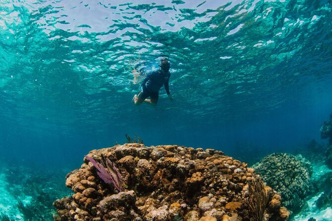 Private Charter Reef fishing, Stingray City, Snorkel, Mangroves - Stingray City Sandbar (45 minutes): How to Make It Smooth
