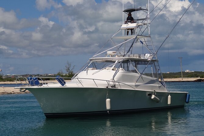 Private Deep Sea Fishing 1/2 Day morning on"Angler Management" - Key Things I’d Pencil In Before You Go