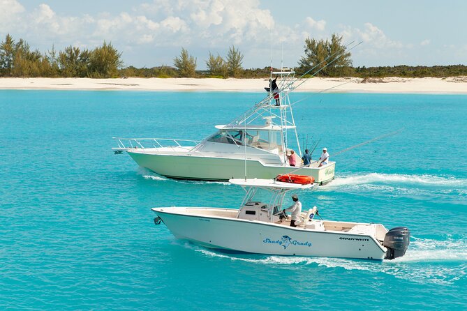 Private Deep Sea Fishing 1/2 Day morning on"Angler Management" - First Cast Off Providenciales: What a Half-Day Charter Really Means