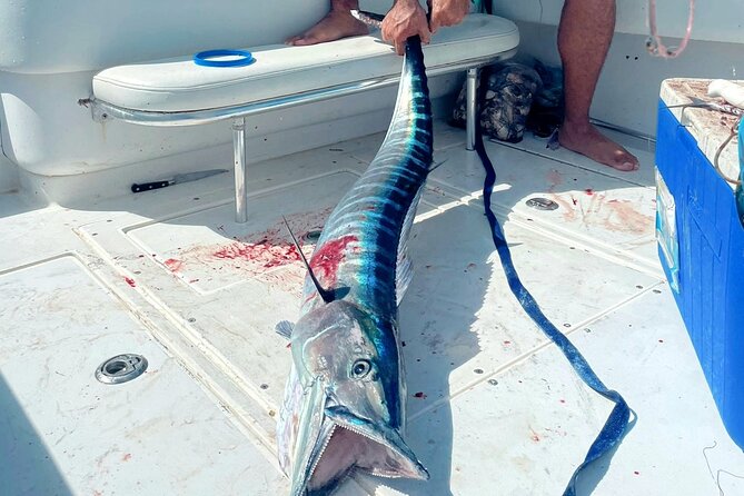 Private Deep Sea Fishing Experience in Grand Cayman - Getting aboard: Camana Bay Marina and your 27’ Contender ride