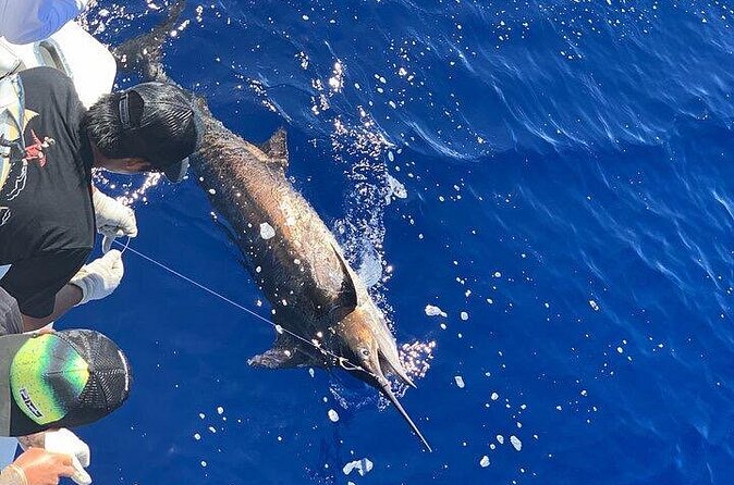 Private Deep Sea Full-Day Fishing Charter in Hawaiian Waters - Comfort rules: cabin, deck, and how to stay sane