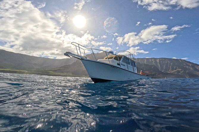 Private Deep Water Fishing in Kauai - Price and Value: What $1,700 Gets You for Up to 6