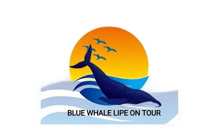 Private Experience with Fishing, Barbeque, Sashimi and Snorkeling - Key highlights you’ll care about