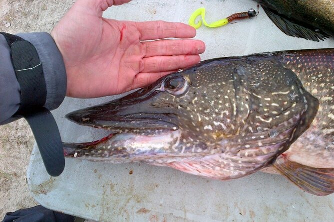 Private Fishing Adventure on the St. Lawrence River - Fishing Licenses in Canada: The One Extra Cost That Matters