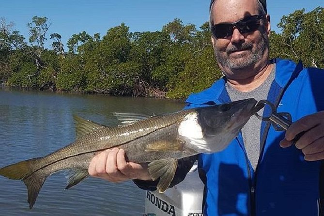 Private Fishing Boat Charters in Naples Bay and the Gulf - Dolphins and birds: the wildlife factor that often shows up