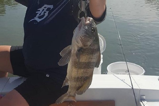 Private Fishing Boat Charters in Naples Bay and the Gulf - What’s included in the price—and why it’s a smart deal for up to 5