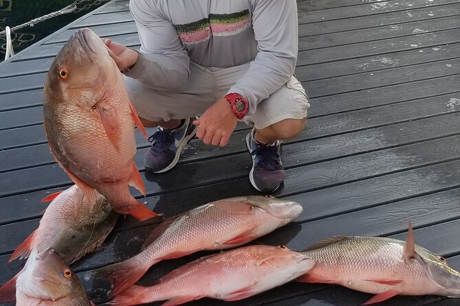 Private Fishing Charter Florida Keys - Price and Value: What $800 Gets You (and How to Think About It)