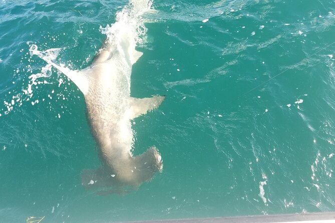 Private Fishing Charter Florida Keys - Who This Charter Suits Best (and Who Might Want Another Option)