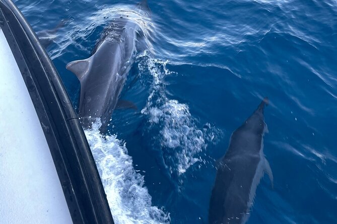 Private Fishing Charter for Family and Friends in Honolulu - What’s included (and what you’ll need to bring)