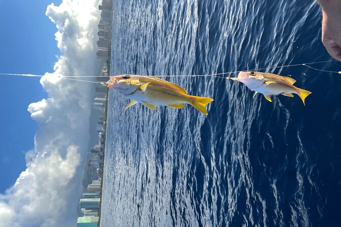 Private Fishing Charter for Family and Friends in Honolulu - Crew style: help with fishing, not just leaving you to figure it out