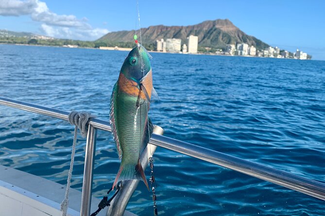 Private Fishing Charter for Family and Friends in Honolulu - From Ala Moana to Kewalo: getting out to the fishing spot fast