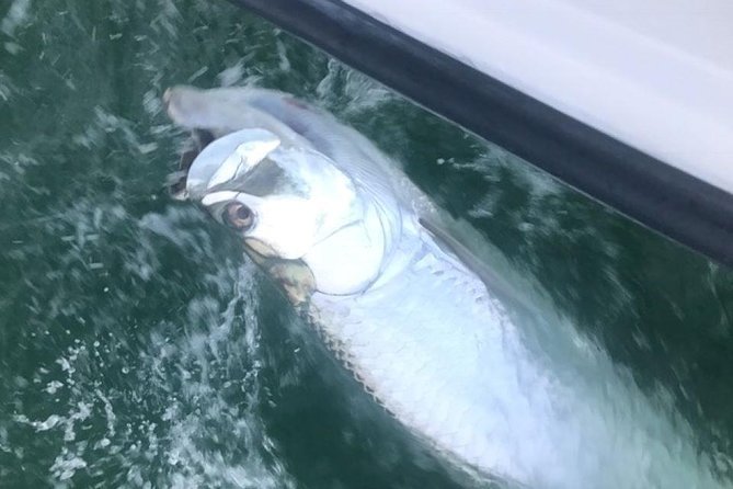 Private Fishing Charter from Ramrod Key - Keeping Fish, Catch-and-Release, and What Happens After