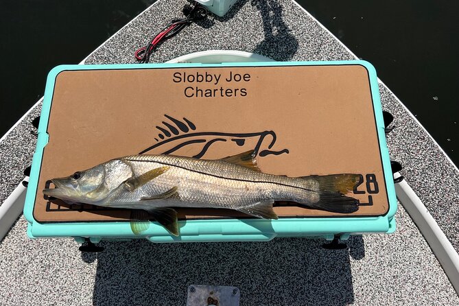 Private Fishing Charter in Tampa - How Targeting Works in Tampa Bay Flats and Backwaters