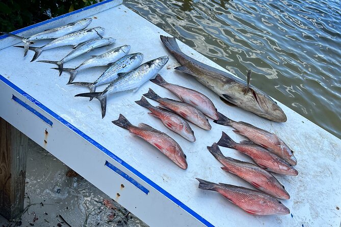 Private Fishing Charter in Tampa - Species You May Catch: Spanish Mackerel to Snook