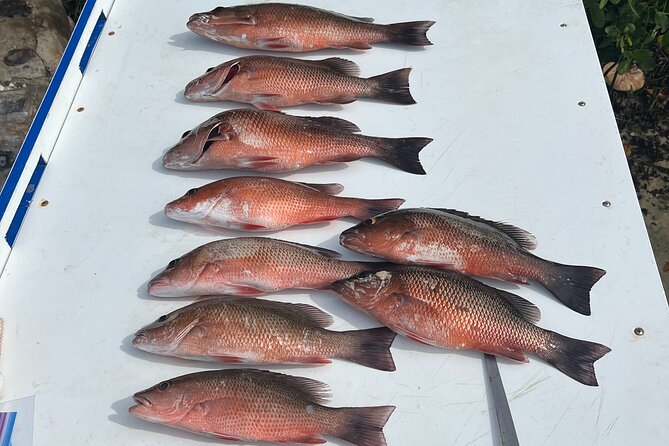 Private Fishing Charter in Tampa - Weather Planning and Simple Flex Rules