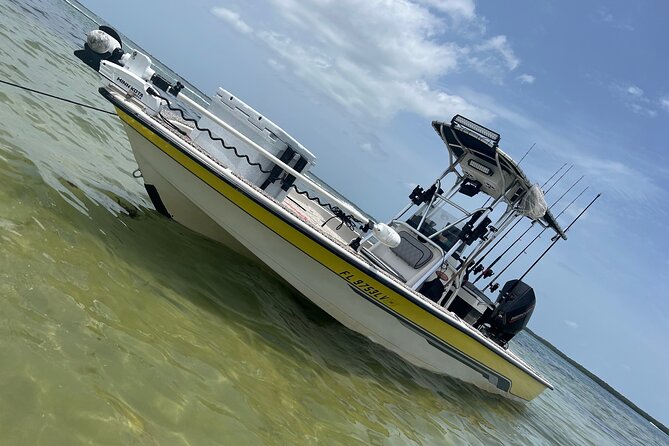 Private Fishing Charter in Tampa - What $650 Means: Private Value for Up to Four