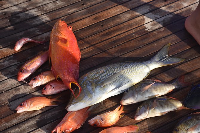 Private Fishing Day Boat With Equipment and Transfer – Hurghada - Fees and extra transfer costs: the small numbers that can surprise you