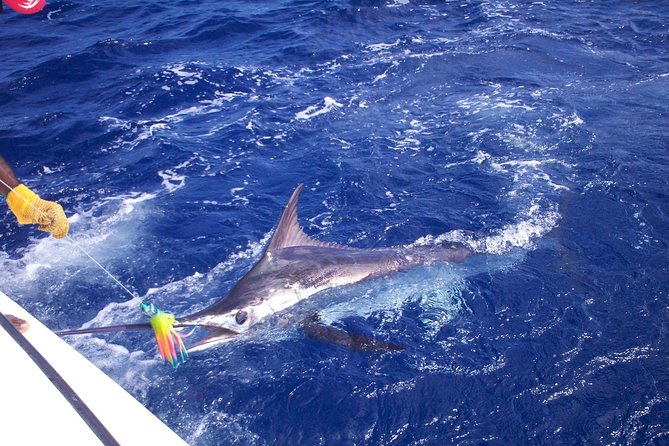 Private Fishing in St Lucia Charters - Key points to know before you go