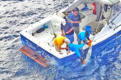 Private Fishing in St Lucia Charters - Meeting at Vigie Marina in Castries: Getting on the Water Without Stress