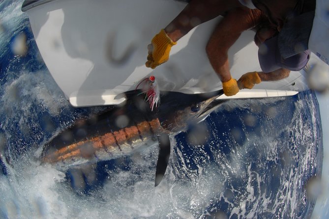 Private Fishing in St Lucia Charters - Fishing Along St Lucia: What Trolling Off the Coast Usually Feels Like