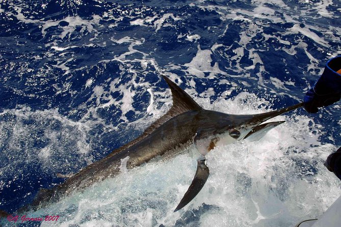 Private Fishing in St Lucia Charters - The Boat and Gear Setup: Shimano/Penn Reels and Offshore-Ready Tackle