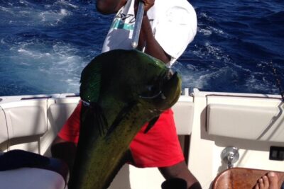 Private Fishing & Snorkel Charters in St Kitts and Nevis - The fishing plan: trolling, bottom, spinning, and combos