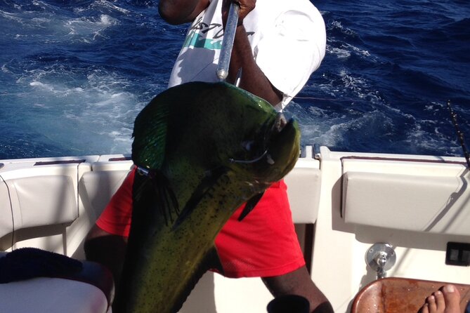 Private Fishing & Snorkel Charters in St Kitts and Nevis - The fishing plan: trolling, bottom, spinning, and combos