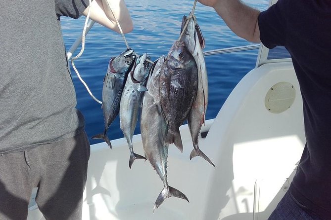 Private fishing tour - Captain Srđan runs the day, not a slideshow