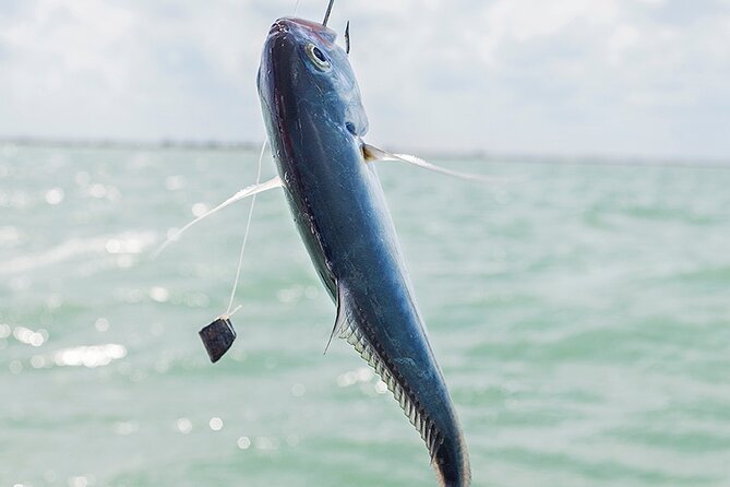 Private Fishing Tour from Isla Holbox (up to 6 pax) - A Private Boat With a Food-Forward Twist
