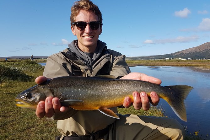 Private Fishing Tour from Reykjavik - Arctic Char and Brown Trout - River Holaa: Why This Water Is the Main Event