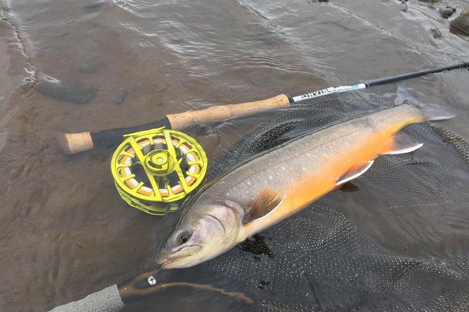 Private Fishing Tour from Reykjavik - Arctic Char and Brown Trout - Price and Value: What $960 Gets You in Practice