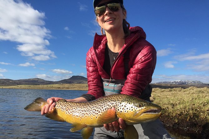 Private Fishing Tour from Reykjavik - Arctic Char and Brown Trout - Who Should Book This Private Charter (and Who Might Skip It)