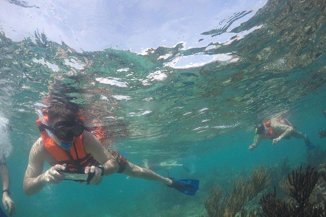 Private Fishing Tour in Yacht Playa del Carmen - Snorkeling equipment is included—so plan your “yes” moment