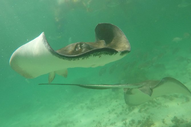 Private Fishing Tour in Yacht Playa del Carmen - Who this private charter fits best